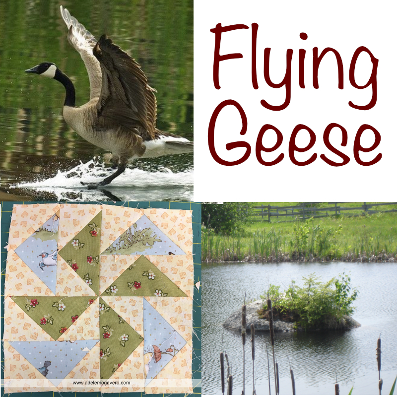 feature image flying geese